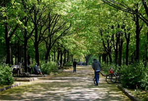 Top 5 of Montreal's most beautiful parks to enjoy the outdoors